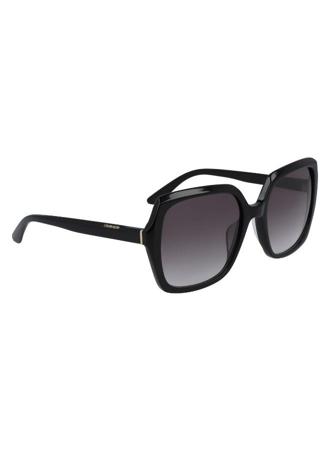 CALVIN KLEIN نظارات شمسية كاملة الإطار من أسيتات كالفن كلاين CK20541S N 5719 (001) سوداء - Image 1
