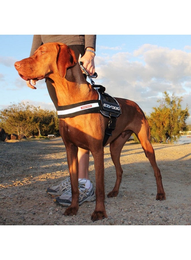 إيزي دوج حزام كلاب EzyDog Convert - حزام متين جاهز للمشي والتنزه في الهواء الطلق مع حواف عاكسة ونقاط تثبيت شارة ومقبض مرور وبطانة مريحة (متوسط، أخضر مموه) - Image 2