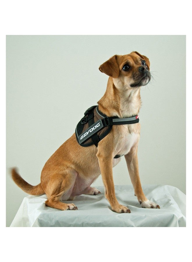 إيزي دوج حزام كلاب EzyDog Convert - حزام متين جاهز للمشي والتنزه في الهواء الطلق مع حواف عاكسة ونقاط تثبيت شارة ومقبض مرور وبطانة مريحة (متوسط، أخضر مموه) - Image 3
