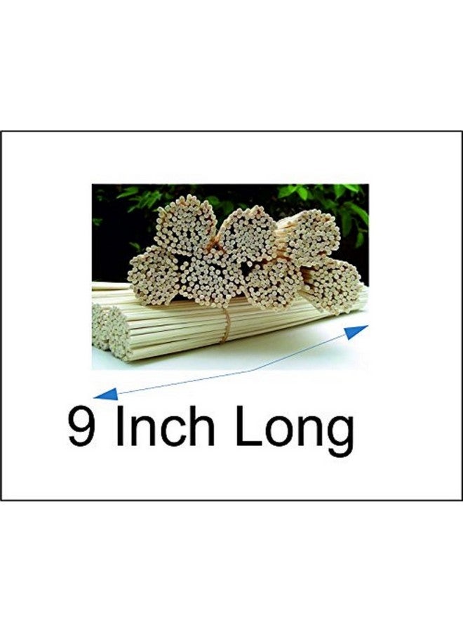 Pure Source India Rattan & Wicker Reed Sticks (9 inch, Dia: 3 mm, Brown) (PSI-RDSTK100PCS9INCH) - Image 2