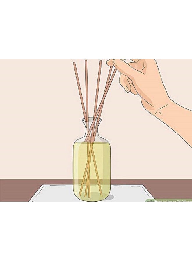 Pure Source India Rattan & Wicker Reed Sticks (9 inch, Dia: 3 mm, Brown) (PSI-RDSTK100PCS9INCH) - Image 4