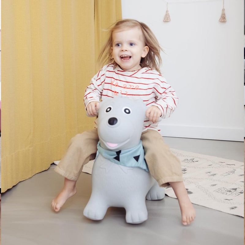 Kindsgut Bouncy Animal Hopper Dog for Children, Designed in Germany, Playful and Modern Colors, air Pump Included, Indoors and Outdoors - Image 4
