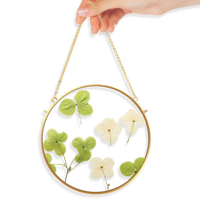 TLBTE 10x10 inch Round Brass Hanging Photo FrameDouble side Circle Glass Frame for Pressed FlowersClear Circular DIY Vintage Artwork Display Picture Frame Wall Mounted Photos Frame