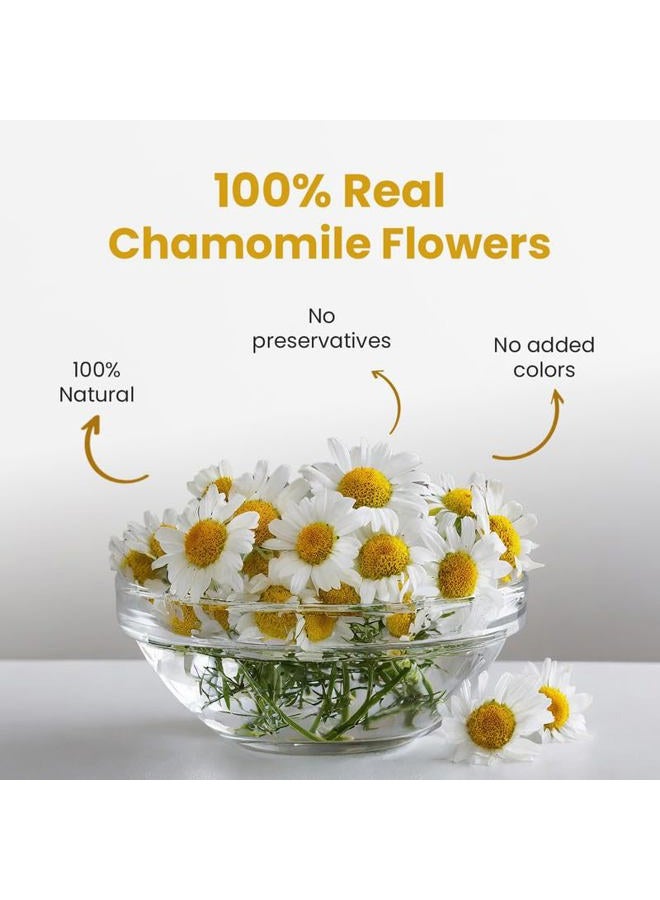 BLUE TEA شاي البابونج - 1.05 أونصة (30+ كوب) سائب | نوم واسترخاء | شاي عشبي - خالي من الكافيين - قائم على الزهور - غير مرير - شاي ليلي | وعاء حيواني قابل لإعادة الاستخدام - Image 2