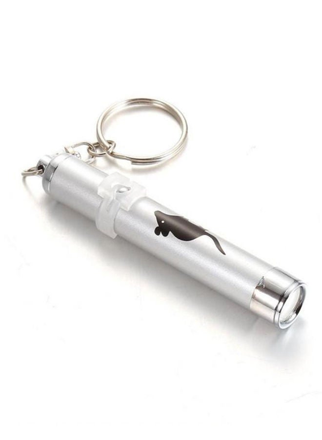 NIBEMINENT Laser Pointer Pen Toy Silver 4 centimeter  - Image 2