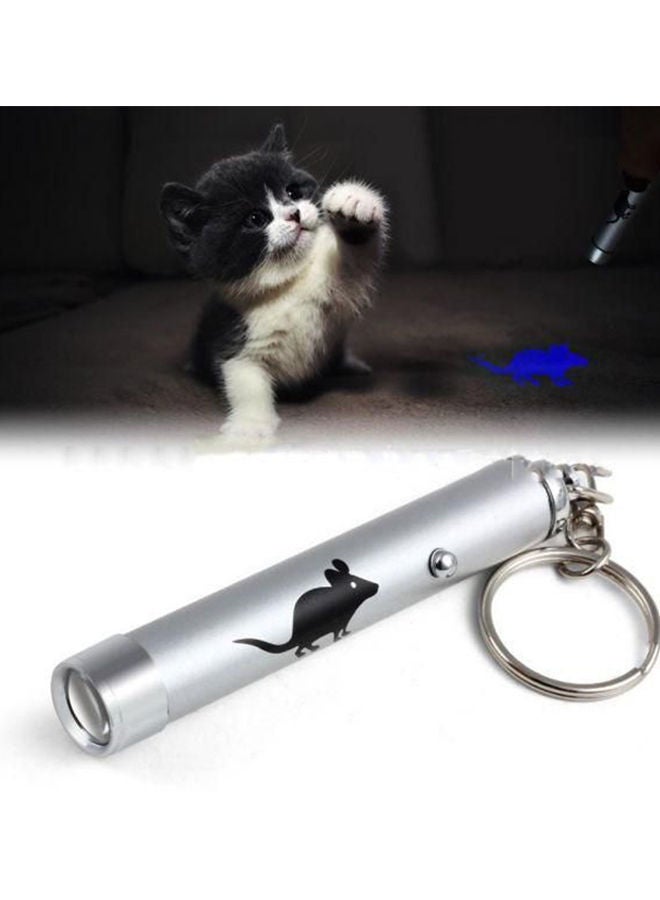 NIBEMINENT Laser Pointer Pen Toy Silver 4 centimeter  - Image 3
