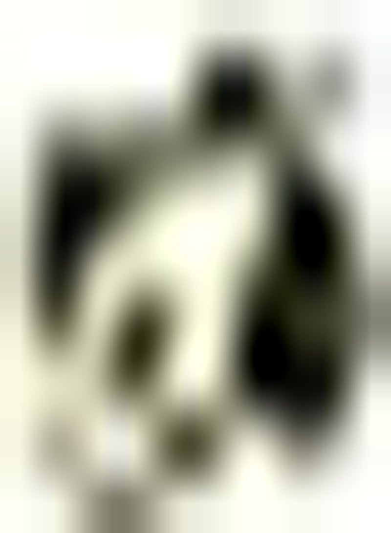 GGOOT 10Stück Avocado Samen Obstanbau im Freien hoher Zierwert eine der Lieblingsfrüchte von Gärtnern bringt Farbe in Ihren Garten Einfach zu züchten - Image 1