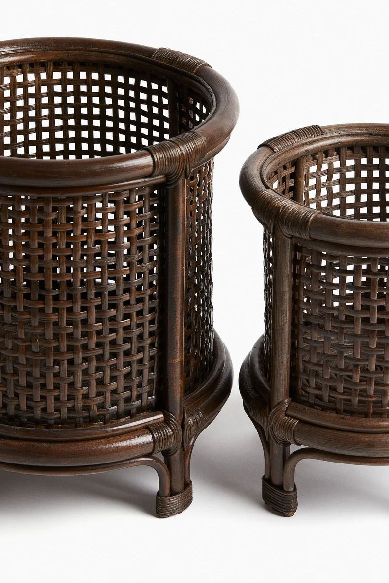 اتش اند ام وعاء نباتات من الروطان