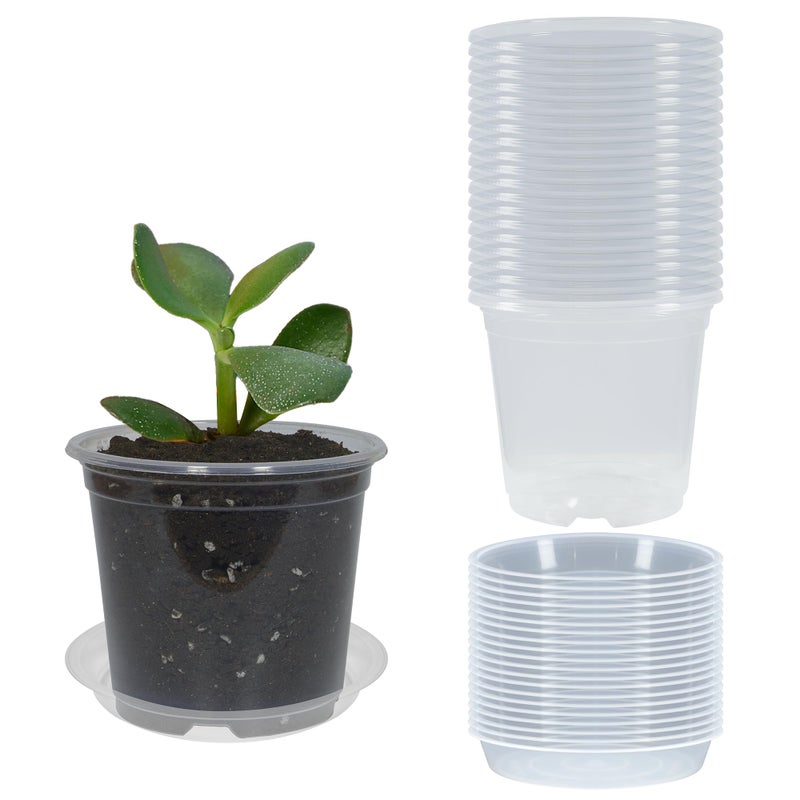 TNTIWQ 20 Pack 3 Inch Clear Nursery Pots with Drainage and 20 Pack Plant Saucers, Plant Pots for Plants Transparent Potting Containers for Plants Seeding Starter Pot (Clear, 3 Inch) - Image 1