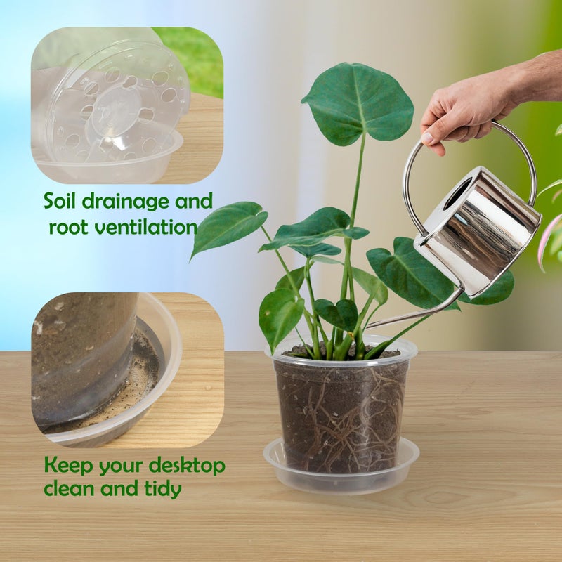 TNTIWQ 20 Pack 3 Inch Clear Nursery Pots with Drainage and 20 Pack Plant Saucers, Plant Pots for Plants Transparent Potting Containers for Plants Seeding Starter Pot (Clear, 3 Inch) - Image 4