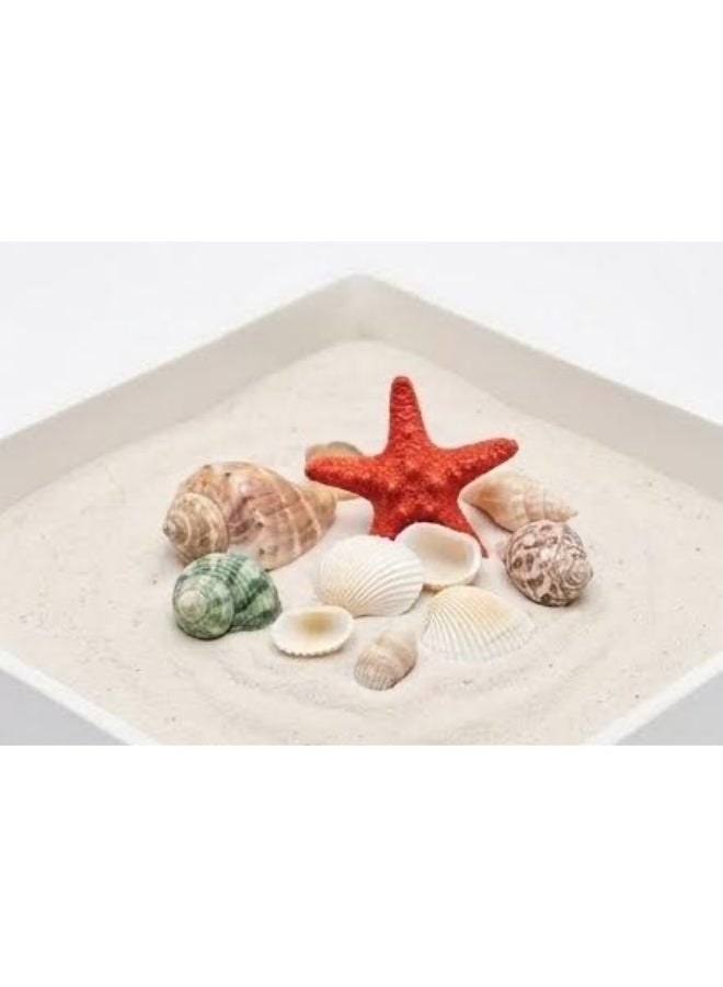 Assorted Natural Sea Shells with Starfish in Mesh Bag - Image 2