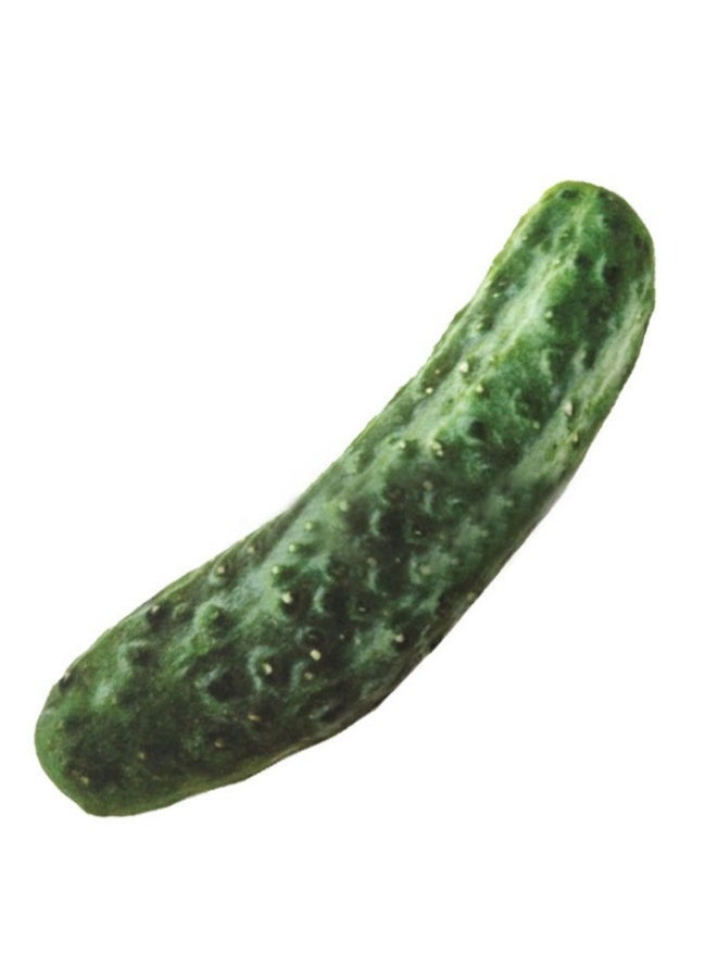 بيوينتي لعبة صوتية للحيوانات الأليفة