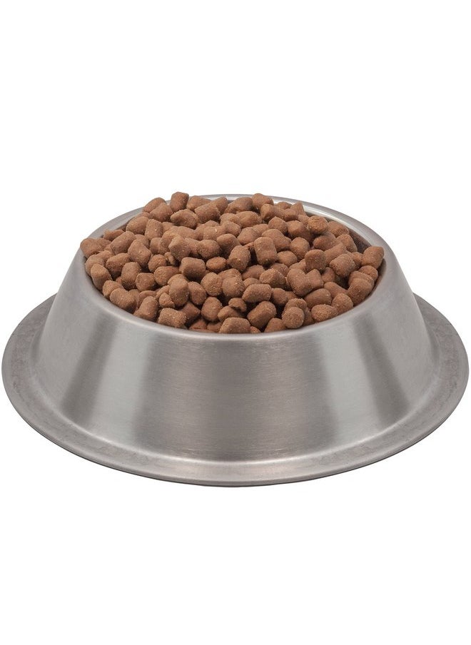 Wysong - Wysong Ferret Epigen 90 - Starch Free Dry Natural Food for Ferrets, Brown, Model Number: WDFE905 - Image 1