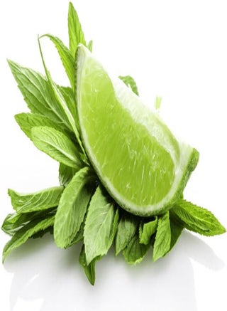 10pcs  Vegetable Mint SeedsPlant Seed Peppermint Spearmint Field Mint Catnip Semillas De Flores Home Garden Adornment - (Color: 8) - pzsku/Z86F1B56B11073E143F40Z/45/1746364364/b38381e9-130d-477c-9214-fb4767a39873