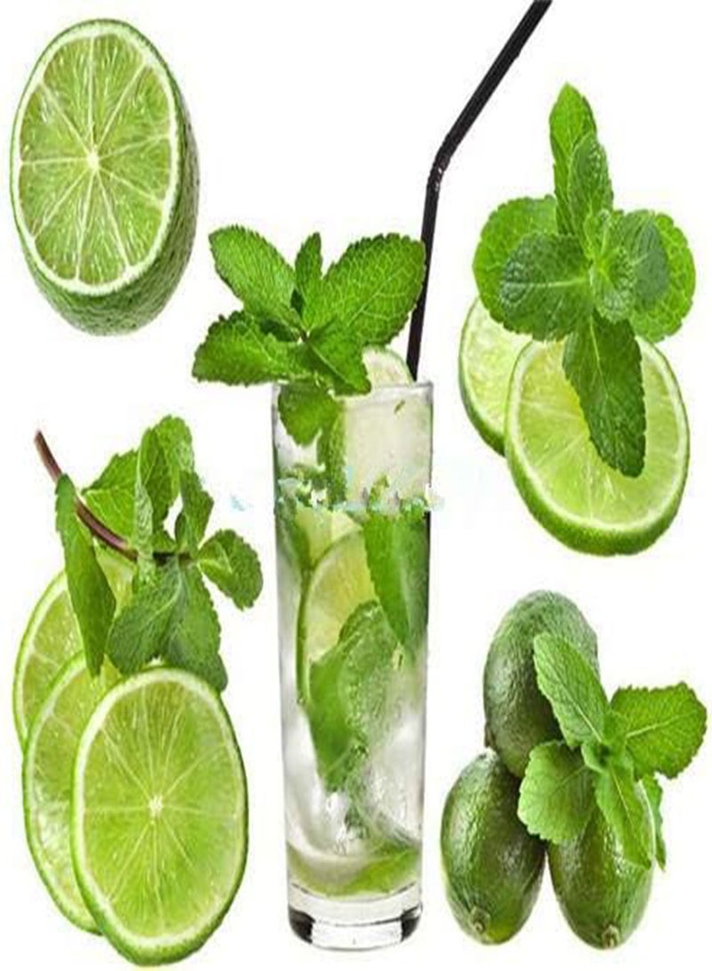 10pcs  Vegetable Mint SeedsPlant Seed Peppermint Spearmint Field Mint Catnip Semillas De Flores Home Garden Adornment - (Color: 8)