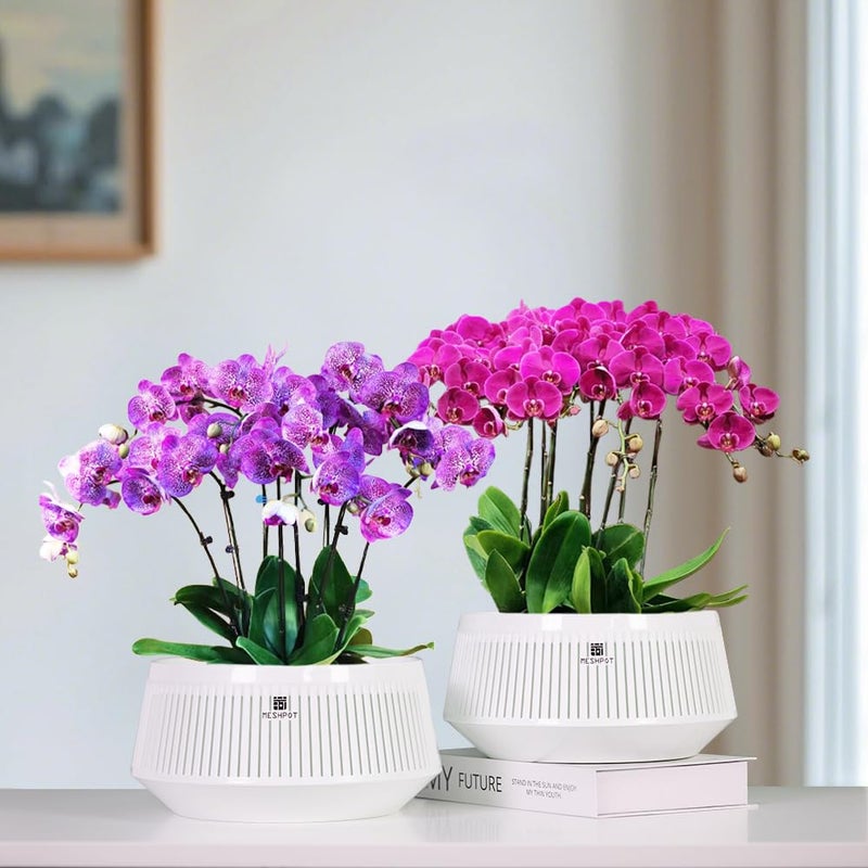 Meshpot 8 inch Orchid Pots with Holes for Repotting,Set of 1,Decorative African Violet Pots with Air-Pruning and Good Air Circulation,Plastic White Orchid Planter with Saucers - Image 2