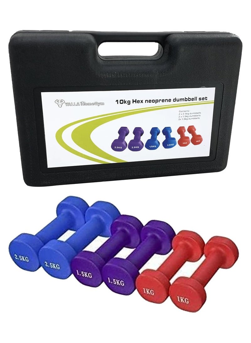 BJM Set Of Dumbbells With Carrying Case 10kg - Image 1