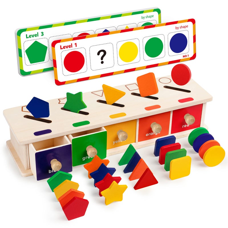 Montessori Toys Wooden Color Shape Sorting Box Game Geometric Matching Blocks Early Learning Educational Toy 3 4 5 Year-Old Baby Toddlers