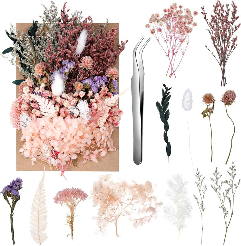 AuraRay Real Dried Flowers, Natural Dry Flowers Mixed Natural Pressed Flowers Flores Secas Dried Florals for Crafts,Resin,Candle Making (Multicolor 2) - Image 1