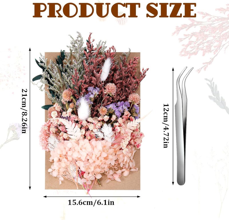 AuraRay Real Dried Flowers, Natural Dry Flowers Mixed Natural Pressed Flowers Flores Secas Dried Florals for Crafts,Resin,Candle Making (Multicolor 2) - Image 4