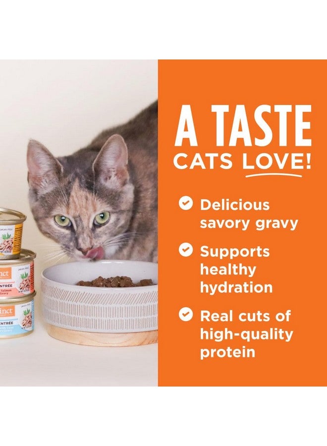 Instinct Flaked Entrée Wet Canned Cat Food - Variety Pack, 3 oz. Cans (Pack of 12) - Image 3