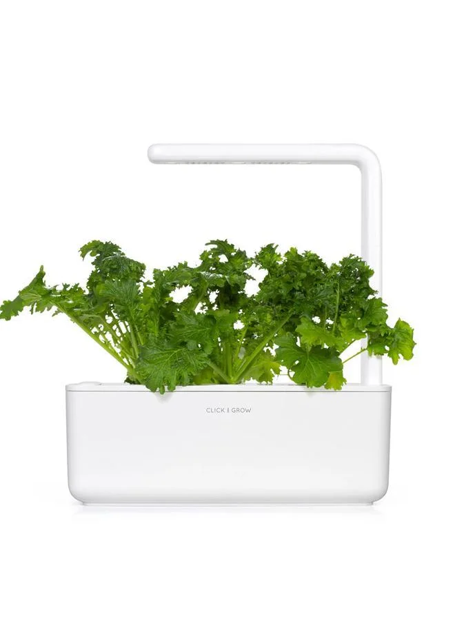 Click & Grow Plant pod 3-pack Wasabi Mustard
