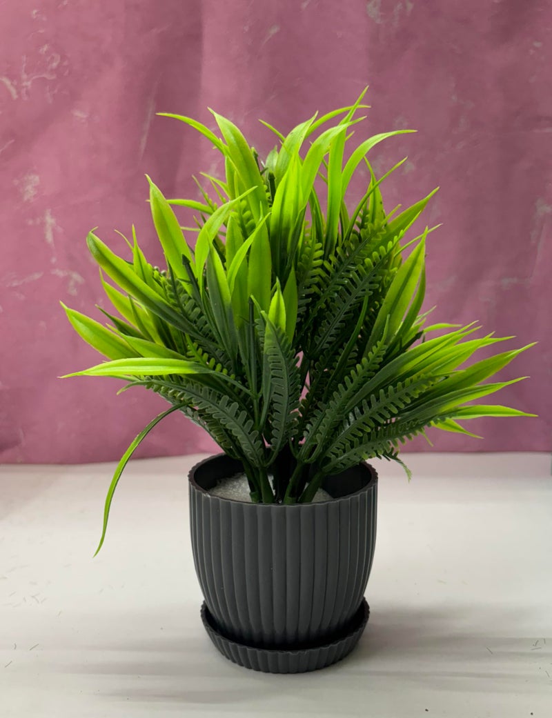 Dekorly 6 Packs Fake Plants Small, Mini Artificial Plants Indoor For Home Farmhouse Bathroom Shelf Décor (Height : 17Cm, Black) - Plastic - Image 2