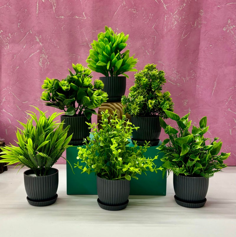 Dekorly 6 Packs Fake Plants Small, Mini Artificial Plants Indoor For Home Farmhouse Bathroom Shelf Décor (Height : 17Cm, Black) - Plastic - Image 1