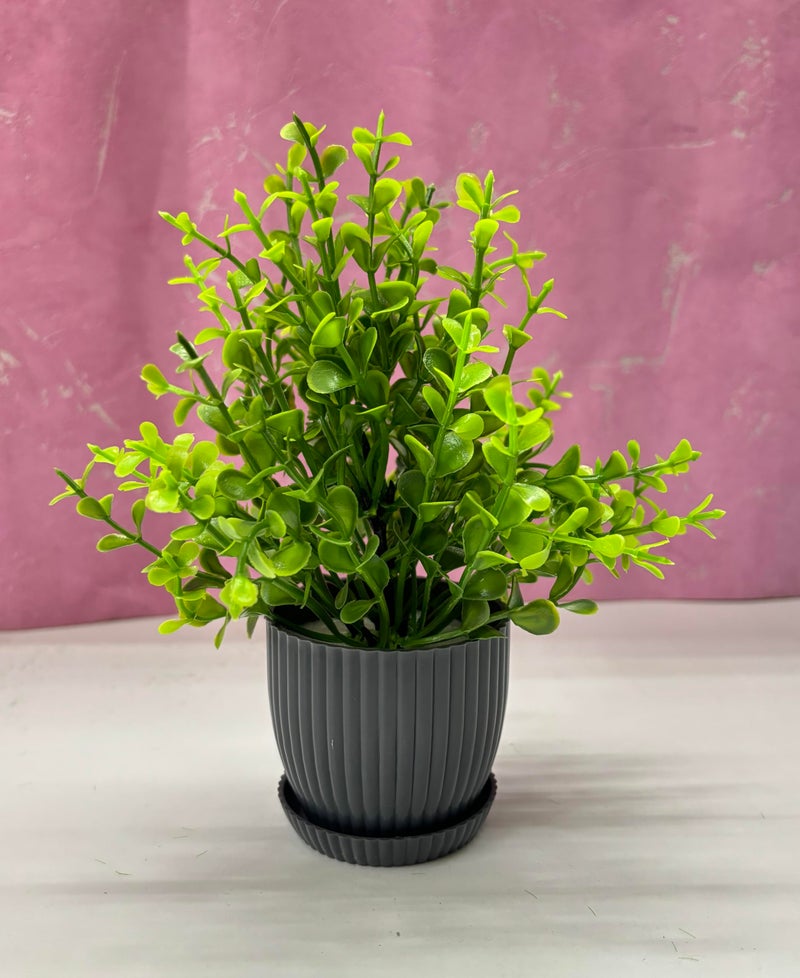 Dekorly 6 Packs Fake Plants Small, Mini Artificial Plants Indoor For Home Farmhouse Bathroom Shelf Décor (Height : 17Cm, Black) - Plastic - Image 4