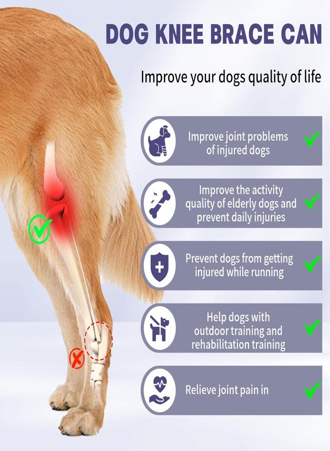 Moysoon Dog Knee Brace for Torn Acl Hind Leg - Protect Dog's Joints,Adjustable Front Back Leg Support Bracket, Universal Dog Knee Brace for Four Legs,Size XL. - Image 2