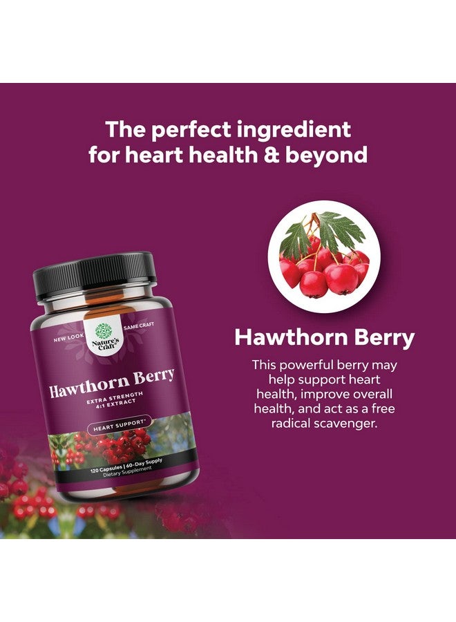 Natures Craft Extra Strength Hawthorn Berry Capsules 1330Mg 4:1 Hawthorn Extract Digestion And Heart Health Supplement Nongmo Hawthorn Berry Extract Plant Polyphenols Supplement For Men And Women 120 Servings - Image 5