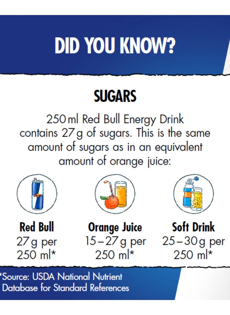 Energy Drink, Blueberry 250ml