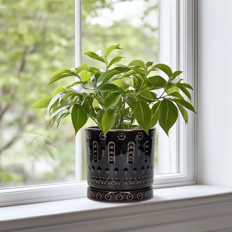 Eightpot Ceramic Plant Pots - 6 Inch Ceramic Planter for Indoor Outdoor, Round Flower Pots with Drainage Hole and Plant Saucer, Boho Decorative Small Planter, House Decor, Gifts for Gardeners, Black - Image 2