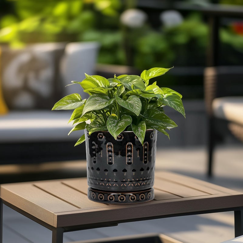 Eightpot Ceramic Plant Pots - 6 Inch Ceramic Planter for Indoor Outdoor, Round Flower Pots with Drainage Hole and Plant Saucer, Boho Decorative Small Planter, House Decor, Gifts for Gardeners, Black - Image 4