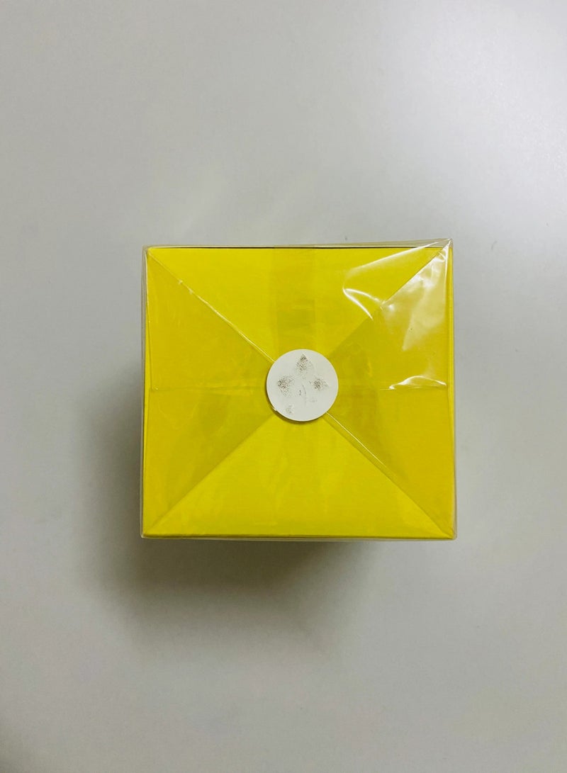 Lolita Lempicka for women eau de parfum 100ml spray - Image 4