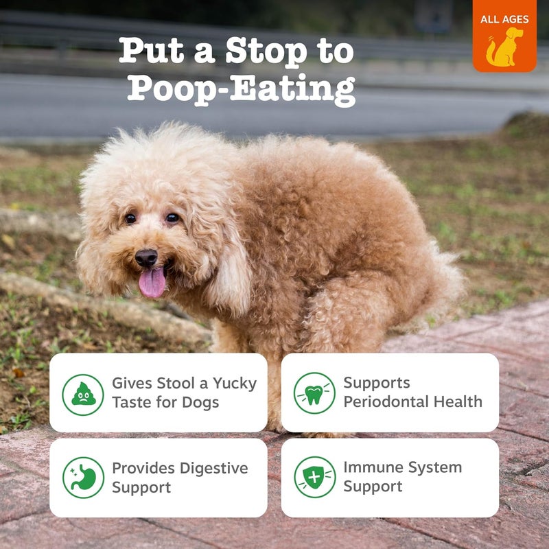 زيساي بوس Zesty Paws Chew No Poo Bites للكلاب – مكملات لتخفيف عادة أكل البراز – مكملات طرية لردع الكلاب عن أكل برازهم أو براز الكلاب الآخرين – تدعم الجهاز الهضمي واللثة والجهاز المناعي بفضل البروبيوتيكات – مكونات الدجاج – عبوة تحتوي على 90 قطعة. - Image 2
