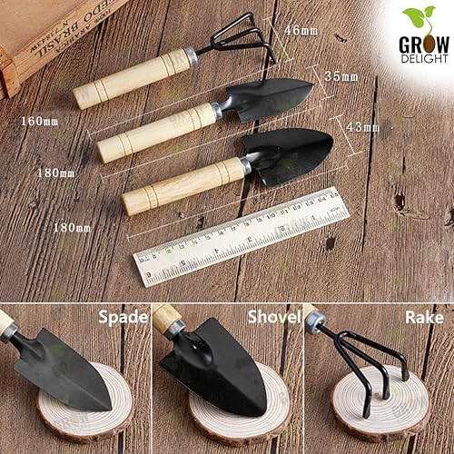 GROW DELIGHT Gardening Tools Kit-4 Pcs (Cultivator, Small Trowel, Big Trowel,Flower Seeds Packet)|Mini Gardening Tools | Home Gardening Tool Set - Image 4