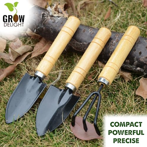 GROW DELIGHT Gardening Tools Kit-4 Pcs (Cultivator, Small Trowel, Big Trowel,Flower Seeds Packet)|Mini Gardening Tools | Home Gardening Tool Set - Image 5
