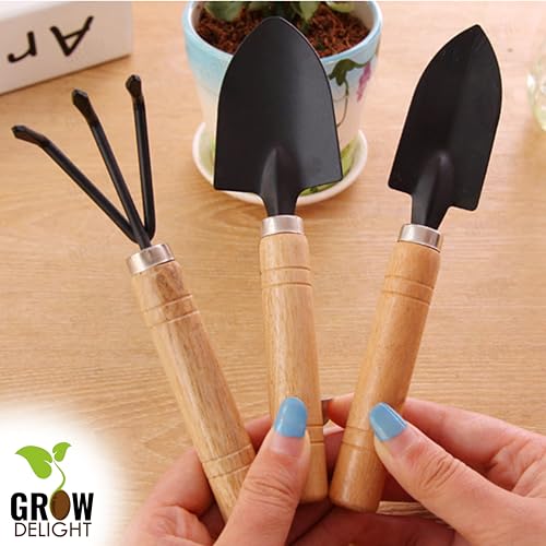 GROW DELIGHT Gardening Tools Kit-4 Pcs (Cultivator, Small Trowel, Big Trowel,Flower Seeds Packet)|Mini Gardening Tools | Home Gardening Tool Set - Image 3