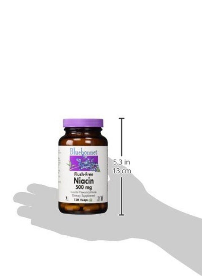 Bluebonnet Nutrition Flush-Free Niacin 500mg, for Nutritional Cardiovascular Support Vegetable Capsules, Soy/Dairy/Gluten Free, Non-GMO, Kosher Certified, Vegan, White, 120 Count - Image 3
