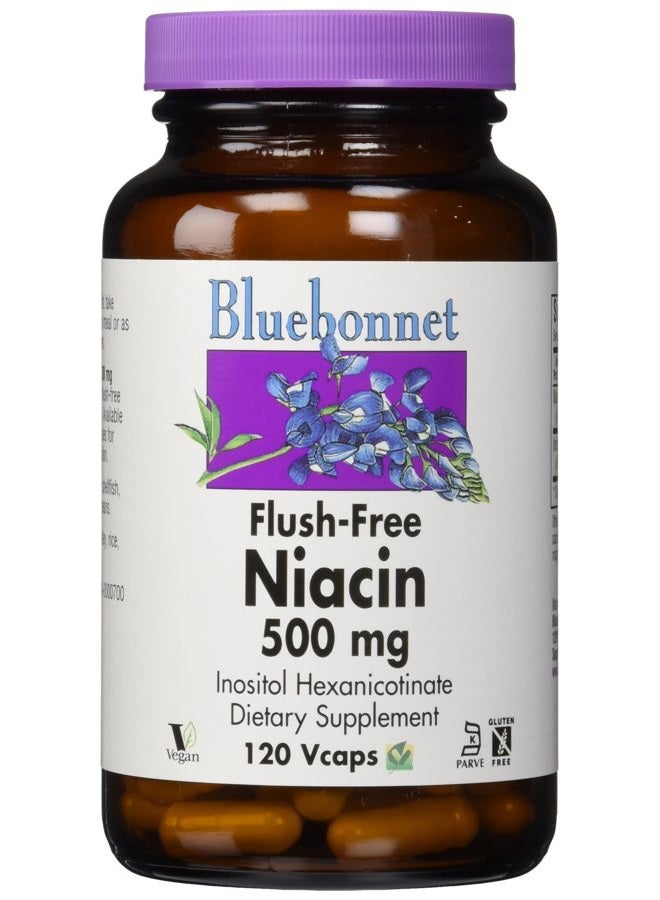 Bluebonnet Nutrition Flush-Free Niacin 500mg, for Nutritional Cardiovascular Support Vegetable Capsules, Soy/Dairy/Gluten Free, Non-GMO, Kosher Certified, Vegan, White, 120 Count - Image 1