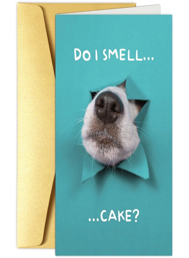 Obbyidk Funny Dog Birthday Cake Card, Cute Birthday Card from Dogs, Humor Dog Peeking Through Card, Do I Smell... Cake? - Image 1