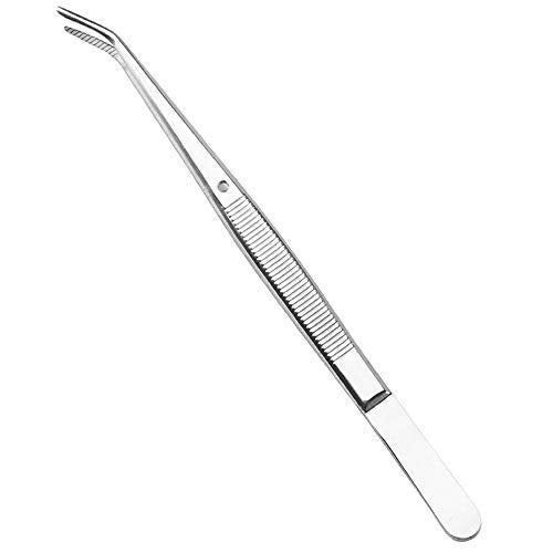 Brige Dental tools-Stainless Steel Tweezers with Curved Serrated Tip Multipurpose Forceps for Family Oral Care Denture Teeth Cleaning - Image 1