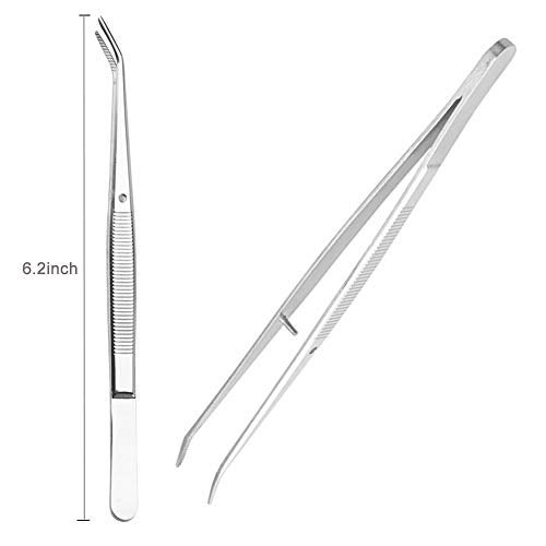 Brige Dental tools-Stainless Steel Tweezers with Curved Serrated Tip Multipurpose Forceps for Family Oral Care Denture Teeth Cleaning - Image 5