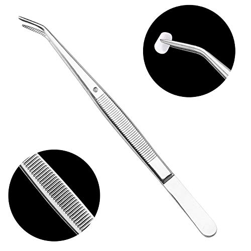Brige Dental tools-Stainless Steel Tweezers with Curved Serrated Tip Multipurpose Forceps for Family Oral Care Denture Teeth Cleaning - Image 2