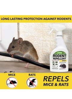 Harris HARRIS peppermint oil mice & rodent repellent spray for house and car engines humane mouse trap substitute 20oz  - Image 2