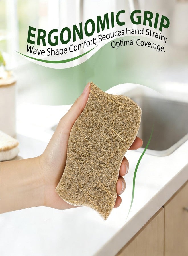kickleen 9 Pack Kickleen Biodegradable Natural Kitchen Sponges - Compostable Cellulose and Coconut Walnut Scrubber Sponge - Eco Friendly Sustainable Sponges for Dishes (9 Pack - Image 2
