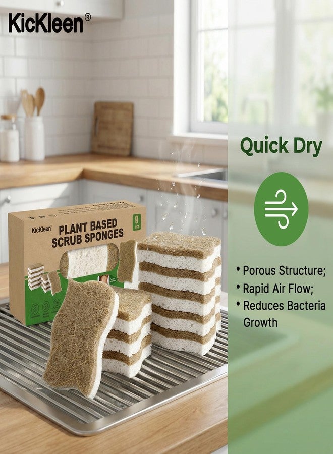 kickleen 9 Pack Kickleen Biodegradable Natural Kitchen Sponges - Compostable Cellulose and Coconut Walnut Scrubber Sponge - Eco Friendly Sustainable Sponges for Dishes (9 Pack - Image 3