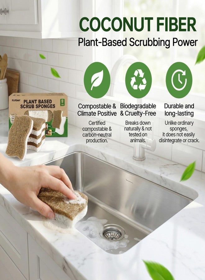 kickleen 9 Pack Kickleen Biodegradable Natural Kitchen Sponges - Compostable Cellulose and Coconut Walnut Scrubber Sponge - Eco Friendly Sustainable Sponges for Dishes (9 Pack - Image 4