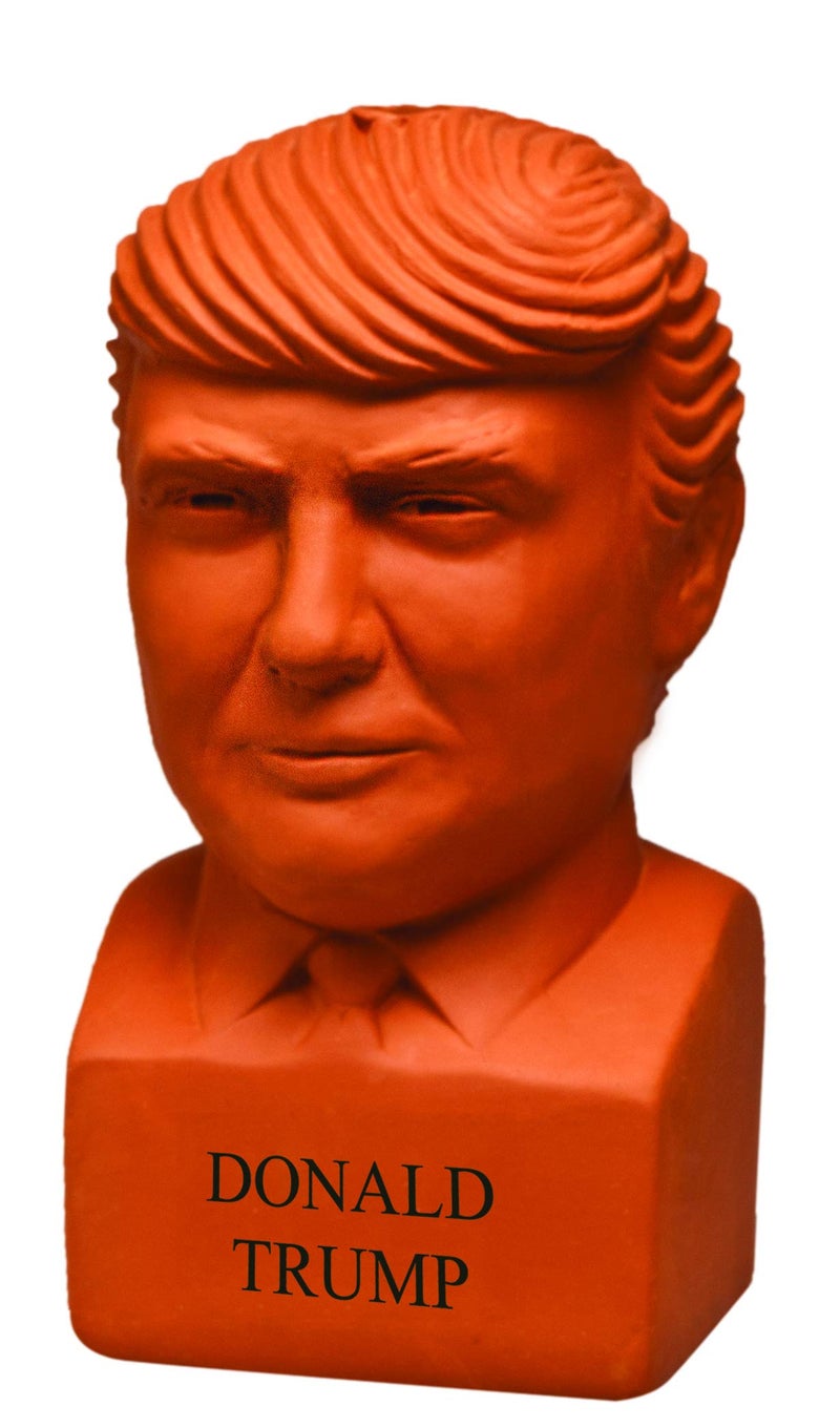 Chia Pet Donald Trump with Chia Seed Pack - Freedom of Choice - Decorative Presidential Pottery Planter, Easy to Do and Fun to Grow, Novelty Gift, Terra Cotta - Image 2